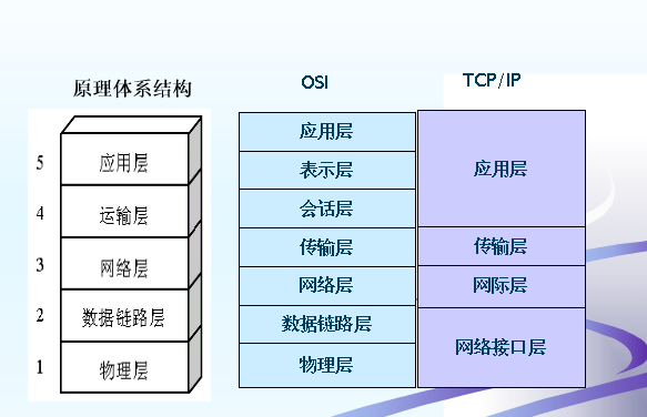 网络模型